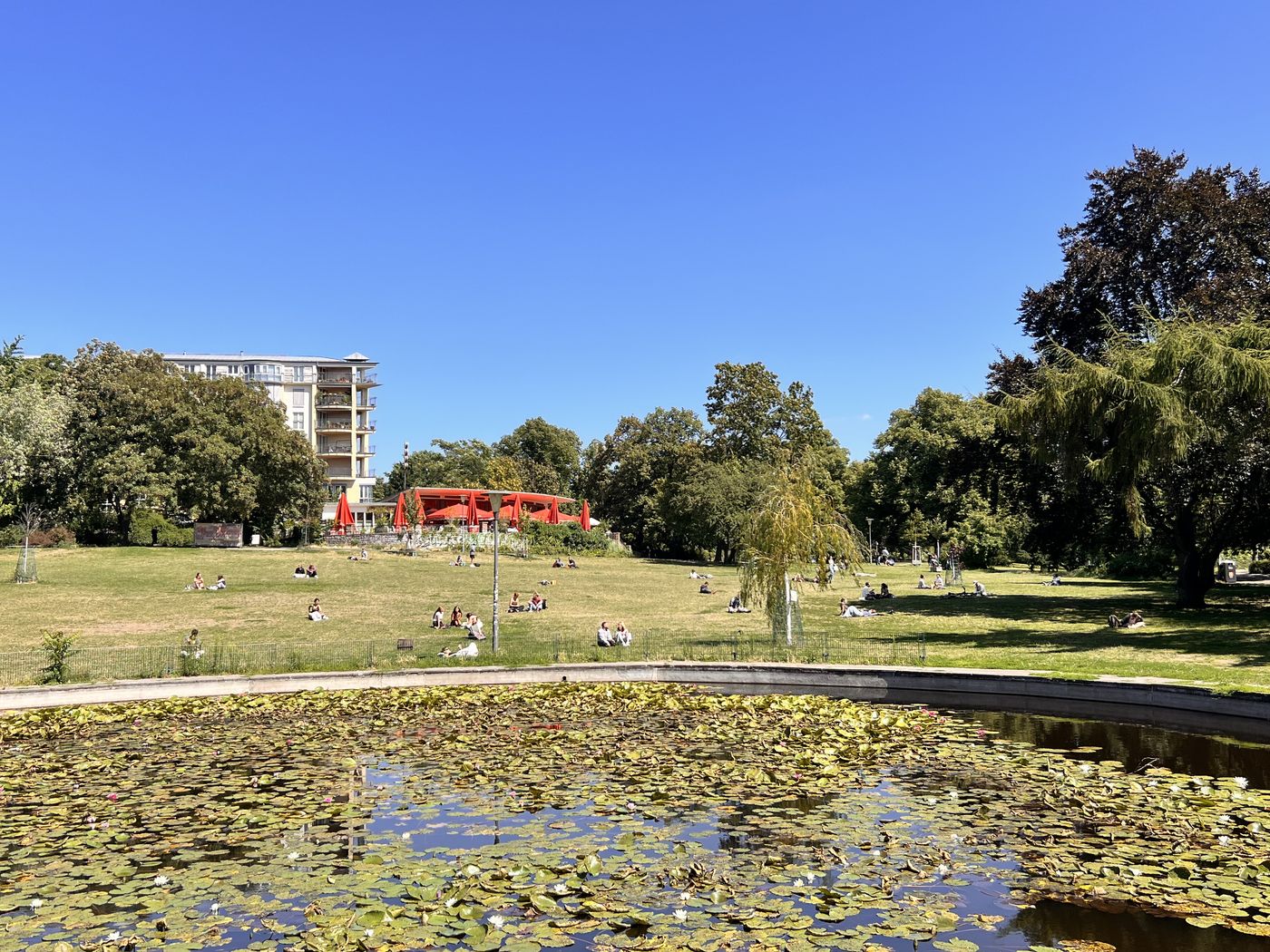 Volkspark am Weinberg mit Seerosenteich